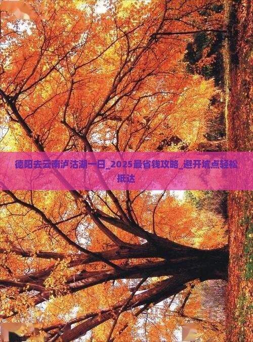 德阳去云南泸沽湖一日