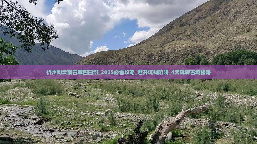 忻州到云南古城四日游 忻州到云南古城四日游