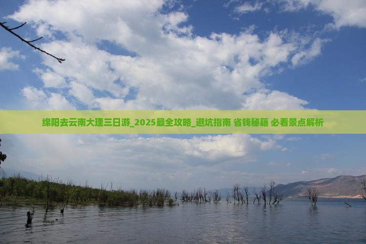 绵阳去云南大理三日游 绵阳去云南大理三日游