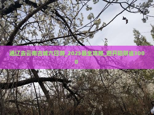 通辽去云南古城六日游 通辽去云南古城六日游