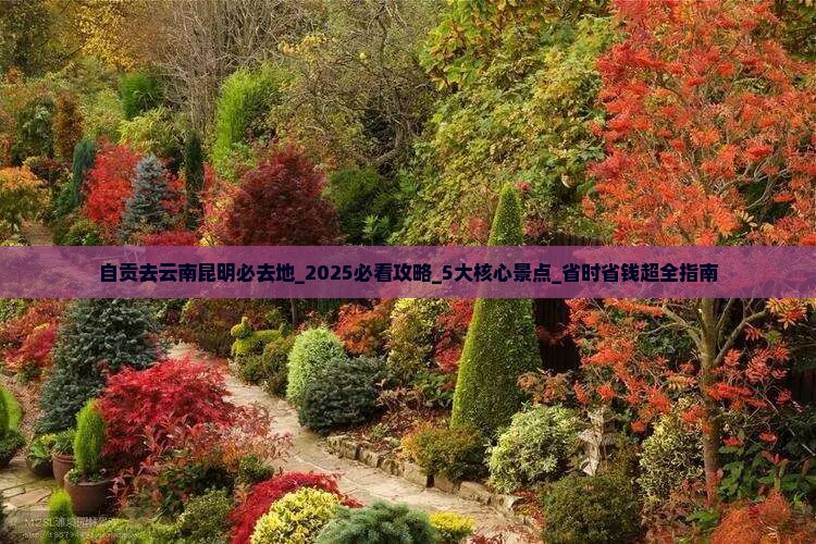 自贡去云南昆明必去地 自贡去云南昆明必去地