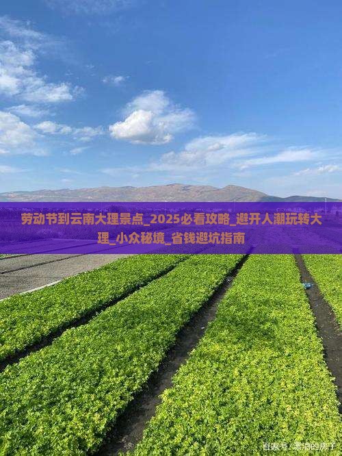 劳动节到云南大理景点 劳动节到云南大理景点