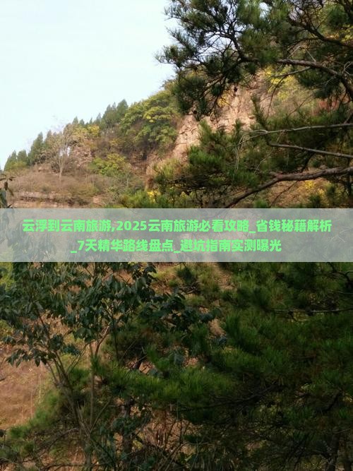 云浮到云南旅游 云浮到云南旅游