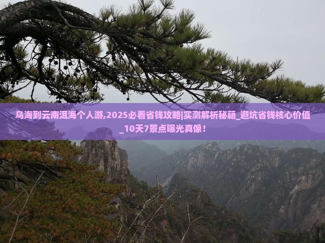 乌海到云南洱海个人游
