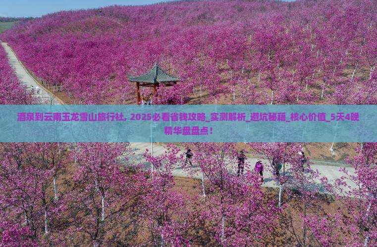 酒泉到云南玉龙雪山旅行社 酒泉到云南玉龙雪山旅行社