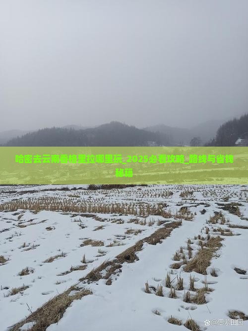 哈密去云南香格里拉哪里玩 哈密去云南香格里拉哪里玩