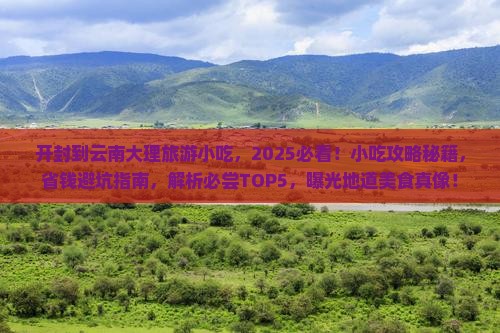 开封到云南大理旅游小吃 开封到云南大理旅游小吃