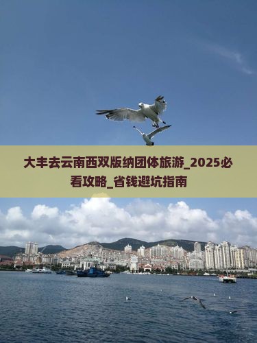 大丰去云南西双版纳团体旅游