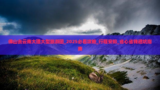 佛山去云南大理大型旅游团