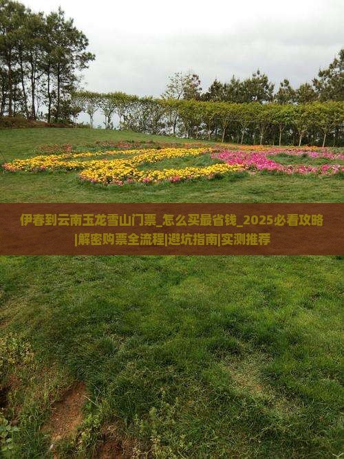 伊春到云南玉龙雪山门票