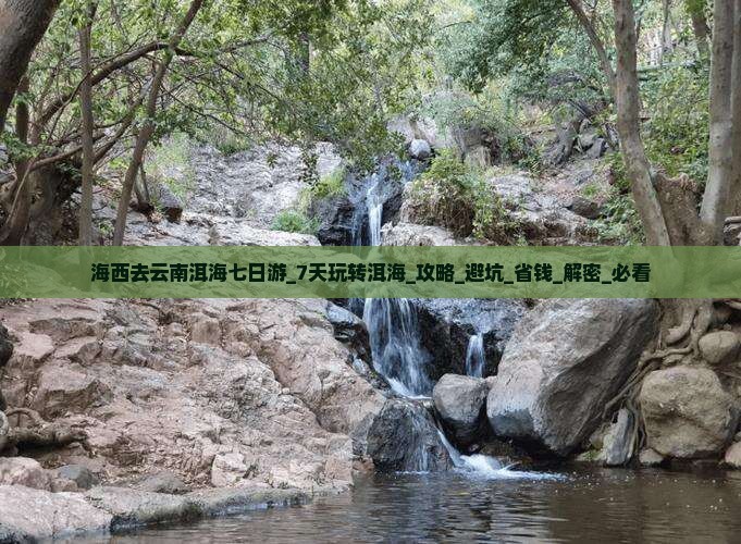 海西去云南洱海七日游 海西去云南洱海七日游