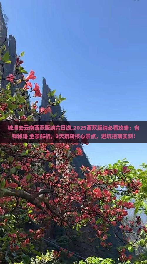 株洲去云南西双版纳六日游 株洲去云南西双版纳六日游