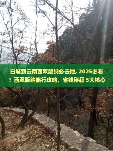 白城到云南西双版纳必去地