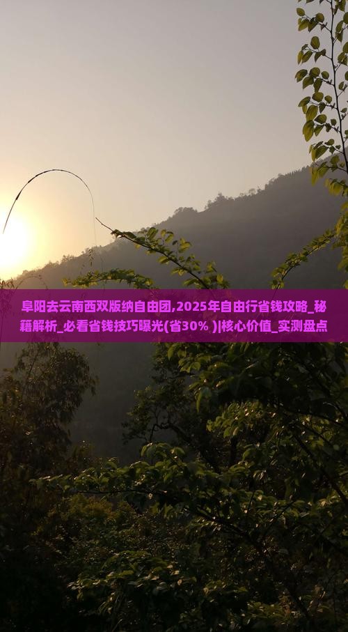 阜阳去云南西双版纳自由团