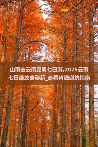 山南去云南昆明七日游 山南去云南昆明七日游