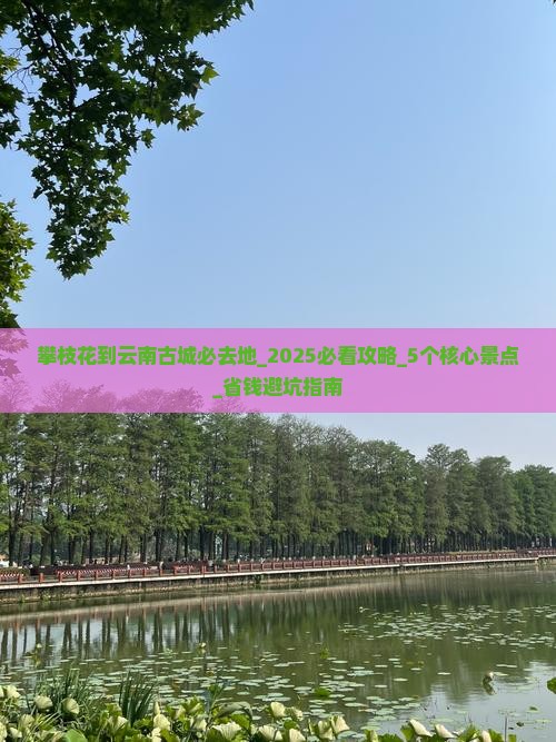 攀枝花到云南古城必去地 攀枝花到云南古城必去地