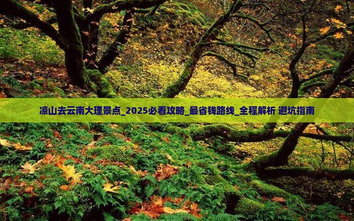 凉山去云南大理景点