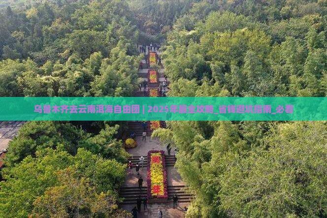 乌鲁木齐去云南洱海自由团