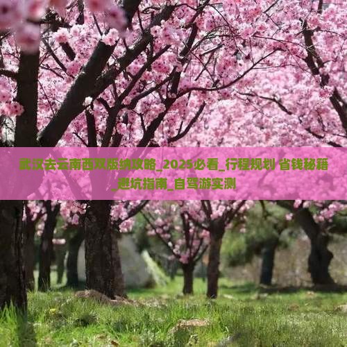 武汉去云南西双版纳攻略 武汉去云南西双版纳攻略