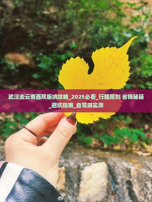 武汉去云南西双版纳攻略 武汉去云南西双版纳攻略