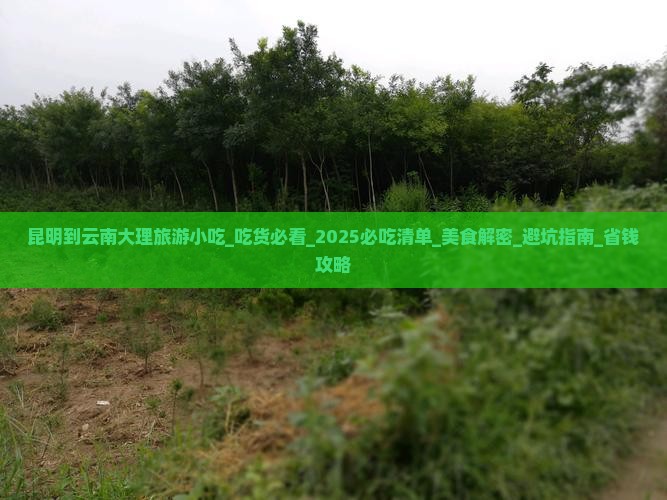 昆明到云南大理旅游小吃 昆明到云南大理旅游小吃