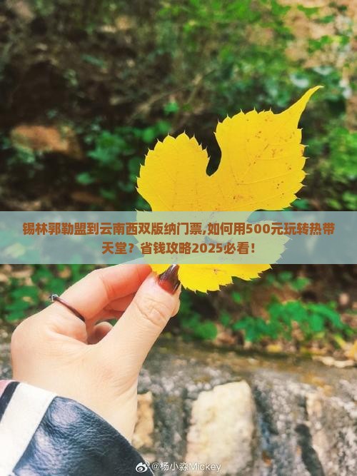 锡林郭勒盟到云南西双版纳门票 锡林郭勒盟到云南西双版纳门票