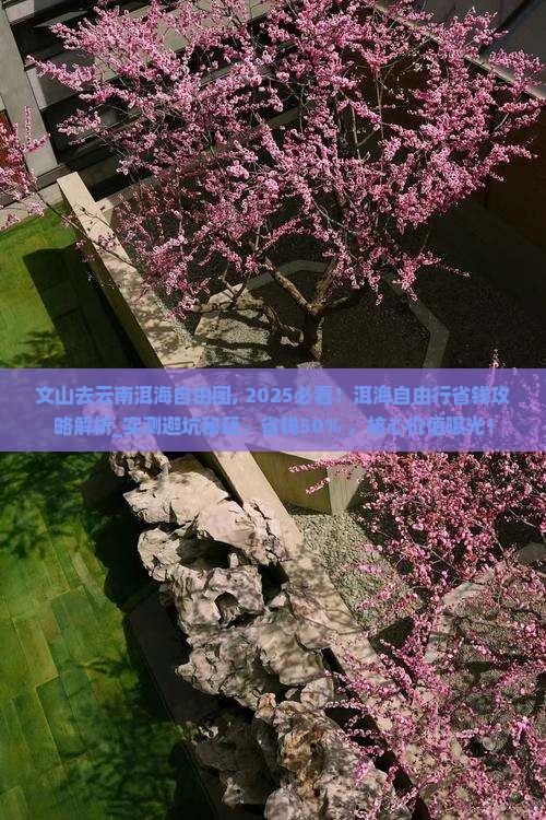 文山去云南洱海自由团 文山去云南洱海自由团