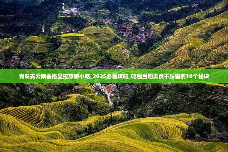 青岛去云南香格里拉旅游小吃