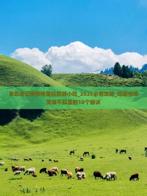 青岛去云南香格里拉旅游小吃