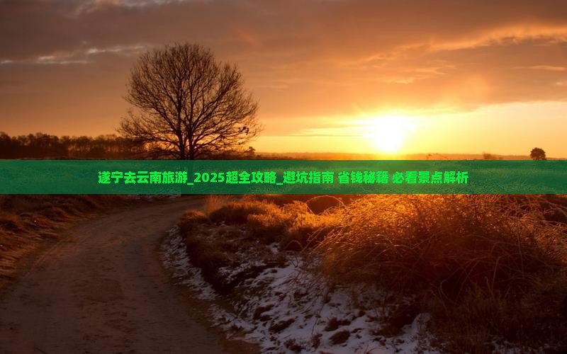 遂宁去云南旅游 遂宁去云南旅游