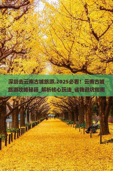 深圳去云南古城旅游 深圳去云南古城旅游