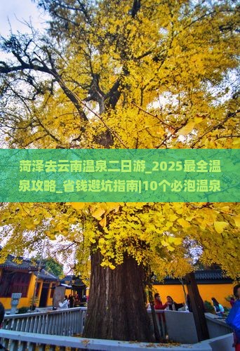 菏泽去云南温泉二日游 菏泽去云南温泉二日游