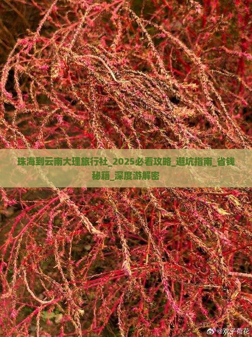 珠海到云南大理旅行社