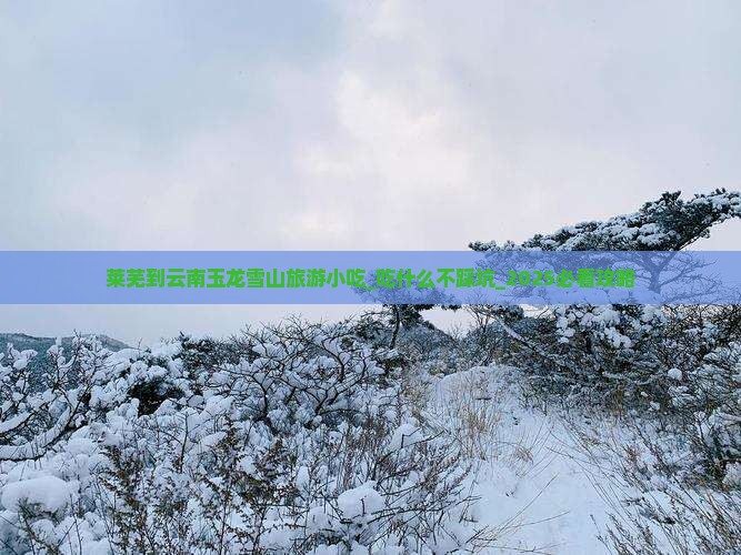 莱芜到云南玉龙雪山旅游小吃