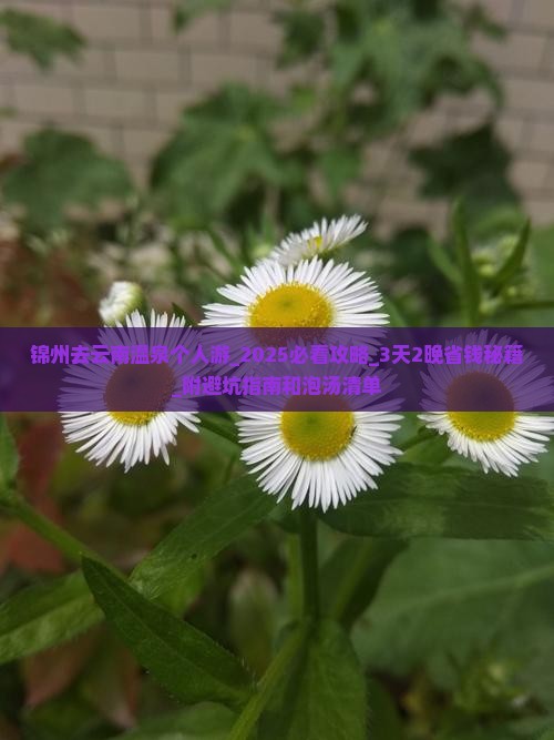 锦州去云南温泉个人游 锦州去云南温泉个人游