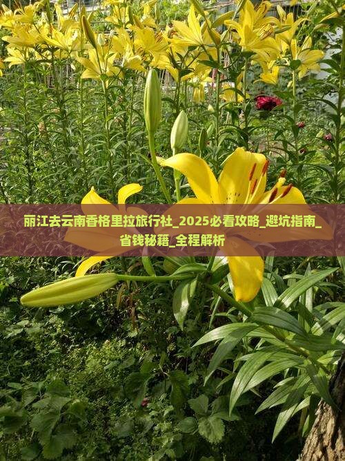丽江去云南香格里拉旅行社 丽江去云南香格里拉旅行社