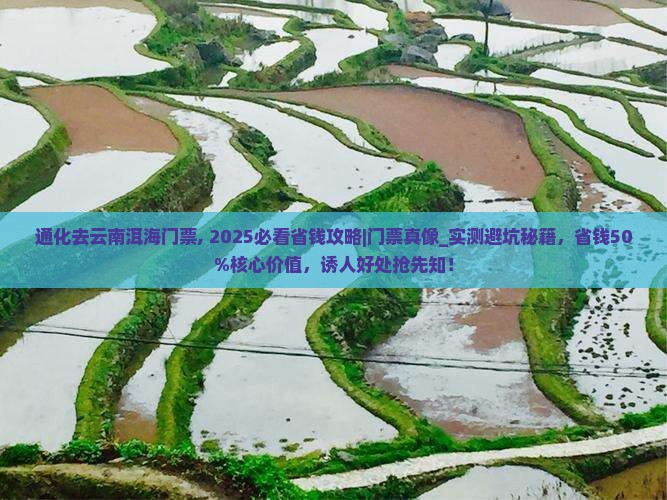 通化去云南洱海门票