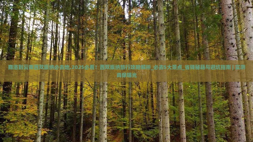 商洛到云南西双版纳必去地