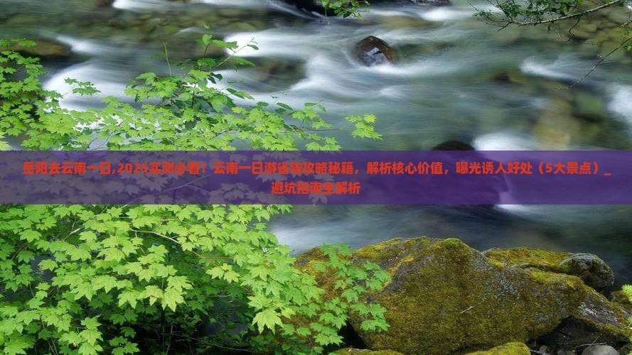 岳阳去云南一日 岳阳去云南一日