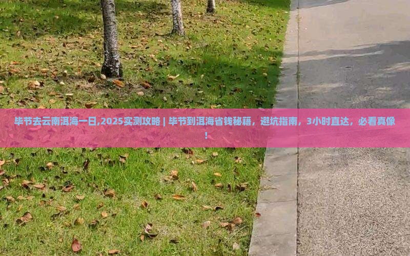 毕节去云南洱海一日
