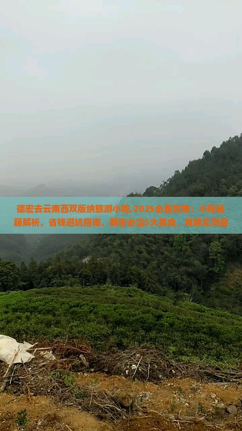 德宏去云南西双版纳旅游小吃