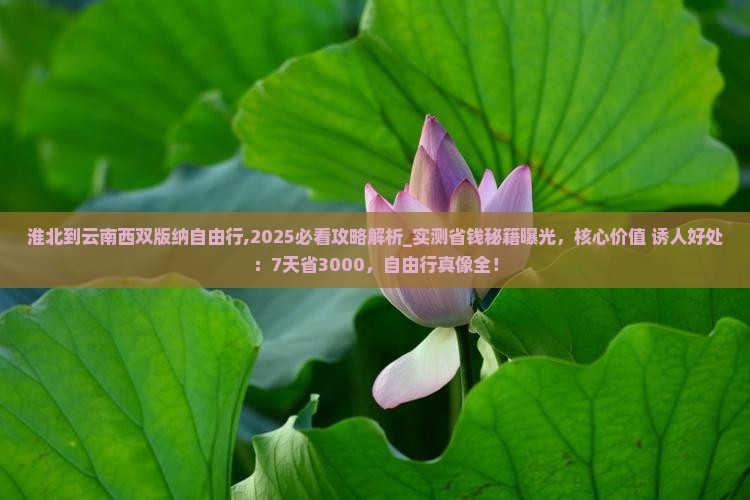 淮北到云南西双版纳自由行 淮北到云南西双版纳自由行