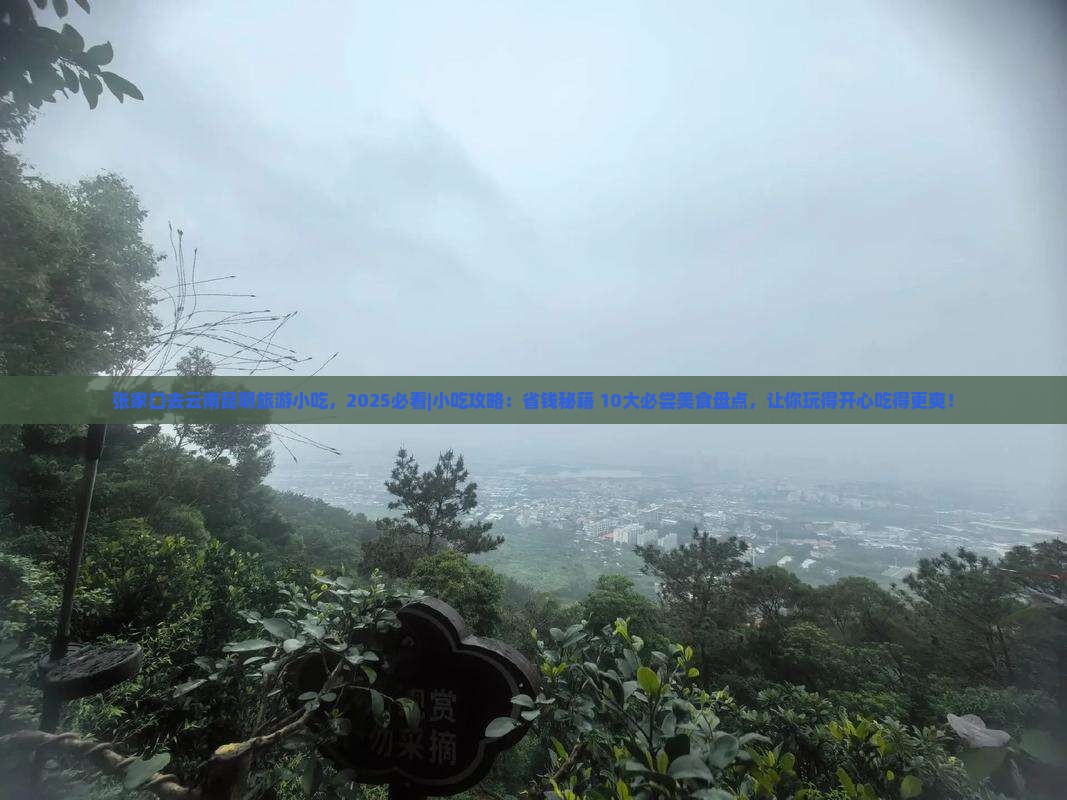 张家口去云南昆明旅游小吃 张家口去云南昆明旅游小吃