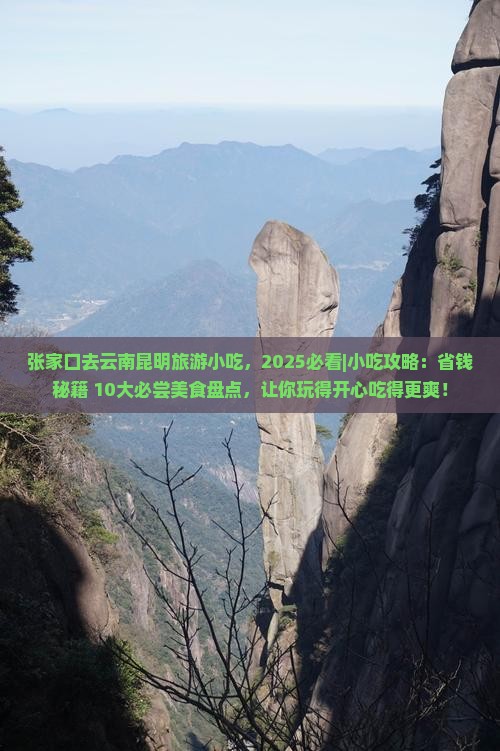 张家口去云南昆明旅游小吃 张家口去云南昆明旅游小吃