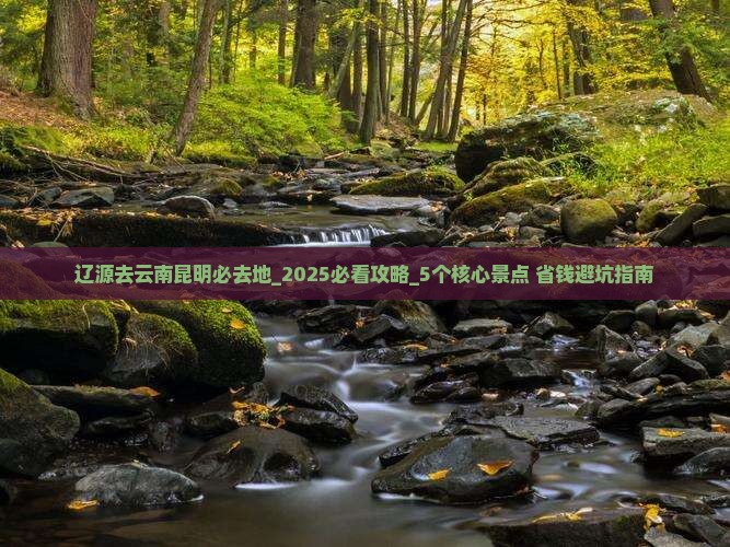 辽源去云南昆明必去地 辽源去云南昆明必去地