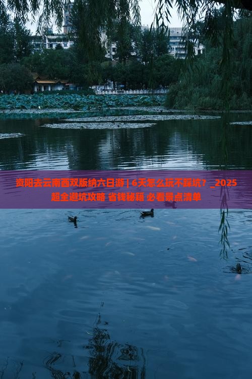 资阳去云南西双版纳六日游