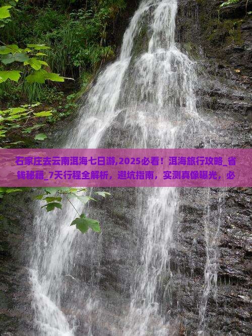 石家庄去云南洱海七日游 石家庄去云南洱海七日游