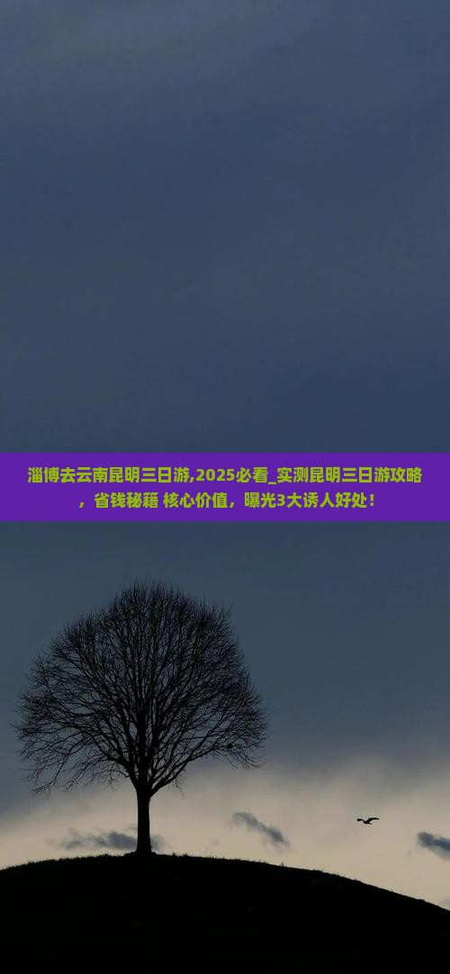 淄博去云南昆明三日游 淄博去云南昆明三日游