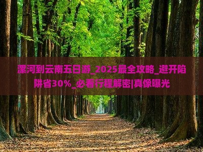 漯河到云南五日游 漯河到云南五日游