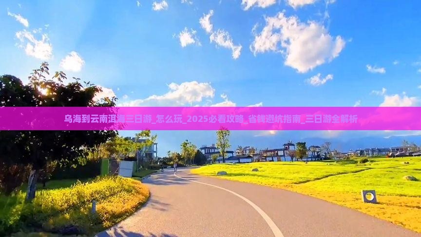 乌海到云南洱海三日游